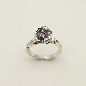 Meteoric Seed Ring